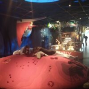 IMG_20230612_115006575_resize